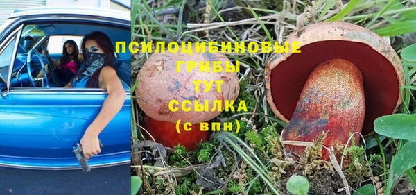 гашиш Осинники