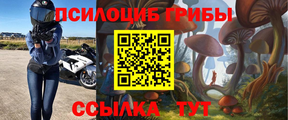 Псилоцибиновые грибы MAGIC MUSHROOMS Карабулак
