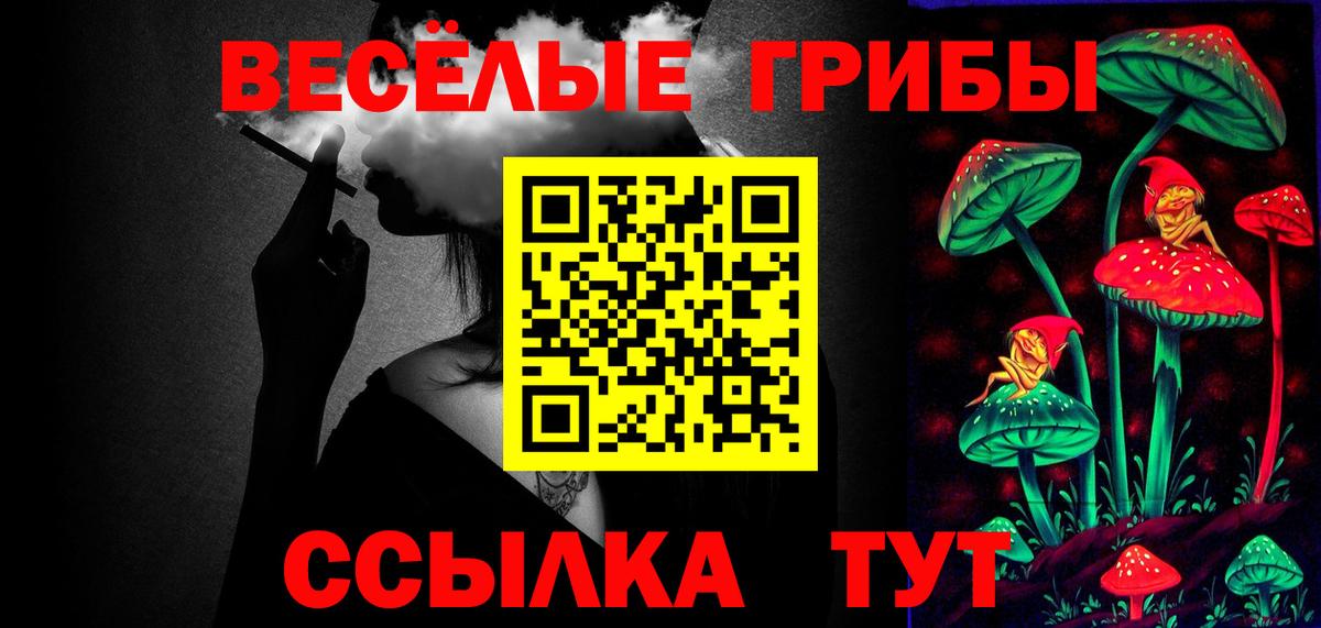 Галлюциногенные грибы Psilocybe Карабулак